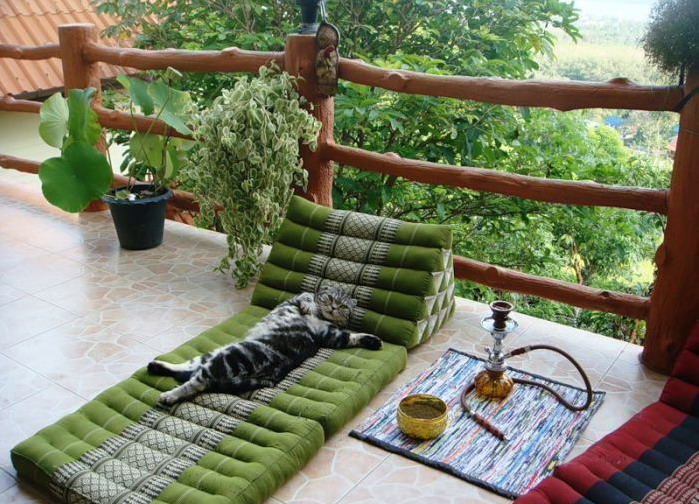 699x504, 143 Kb / кот