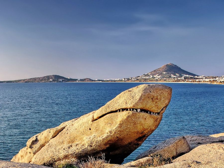 900x674, 129 Kb / акула, камень