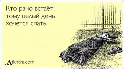 480x268, 30 Kb / жаворонок