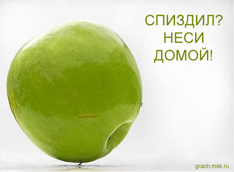 480x353, 27 Kb / яблоко, муравей