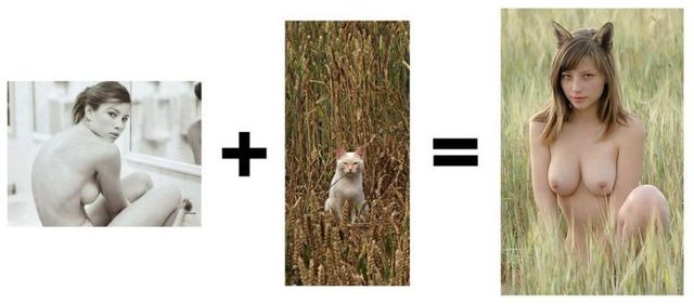 640x281, 28 Kb / девушка, сиськи, кошка