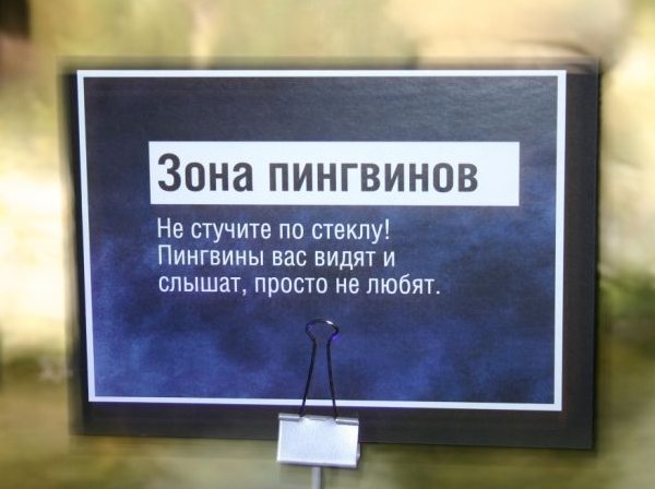 600x448, 39 Kb / пингвины, табличка