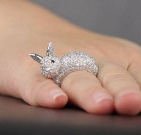 480x462, 23 Kb / кольцо, заяц