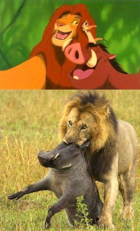 285x472, 39 Kb / лев, кабан