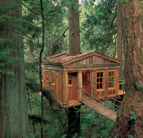 498x480, 123 Kb / дом