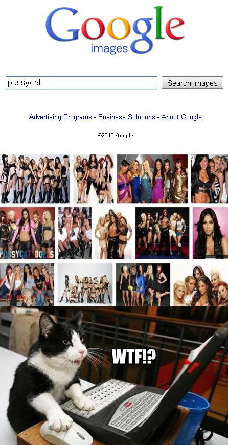 446x870, 129 Kb / кот, гугл