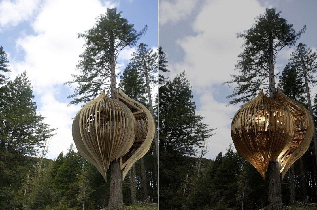 1100x729, 274 Kb / сосны, постройка