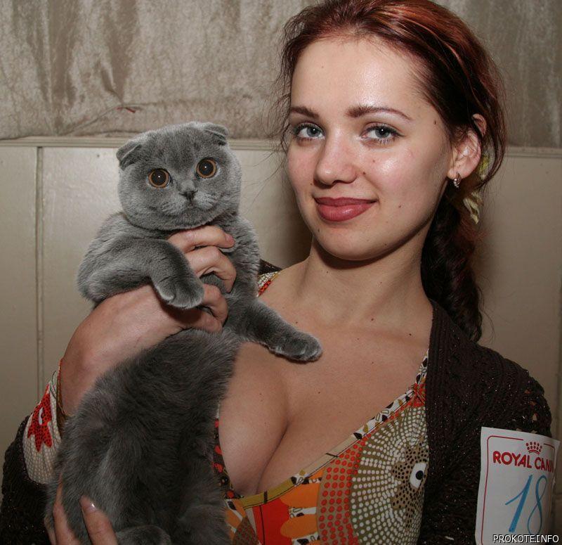 800x775, 89 Kb / кот, девушка, сиськи