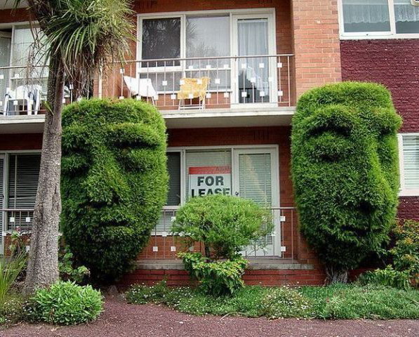 597x480, 137 Kb / деревья