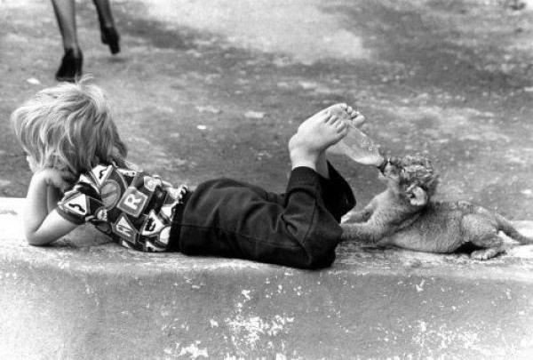 600x405, 69 Kb / ребенок, лев