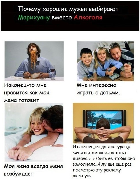 485x618, 85 Kb / трава, семья