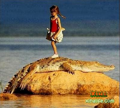 400x363, 28 Kb / девочка, крокодил