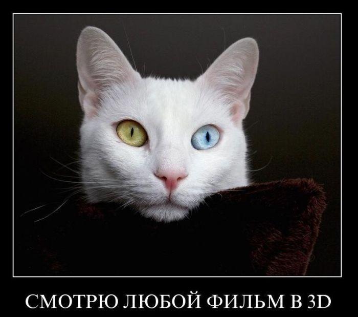 700x619, 47 Kb / глаза, 3д, демотиватор