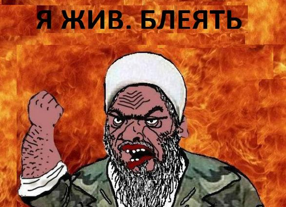 586x424, 185 Kb / усама