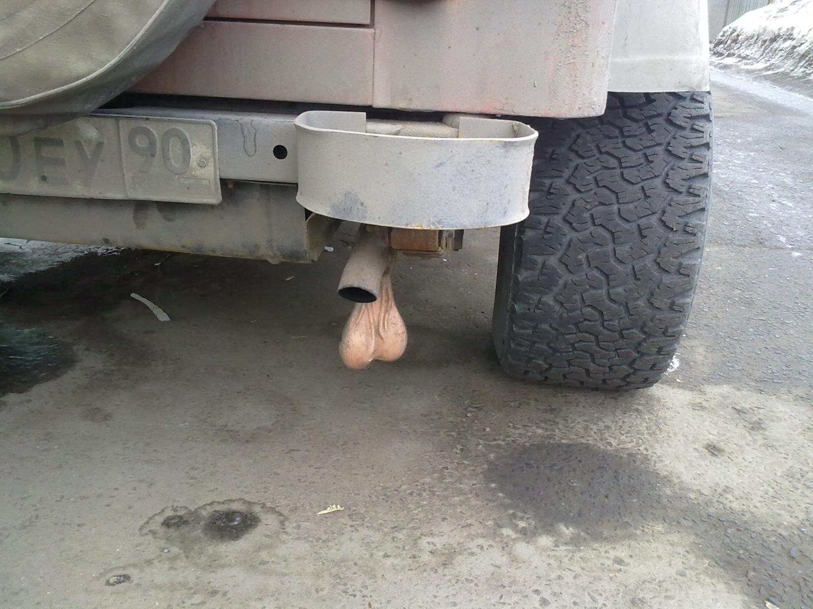 1600x1200, 217 Kb / самец, яйца, авто