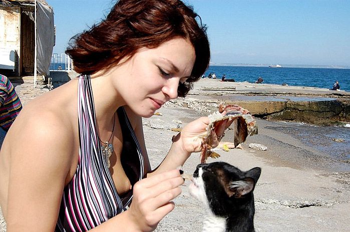 699x463, 77 Kb / девушка, сиськи, Киски, котэ, море