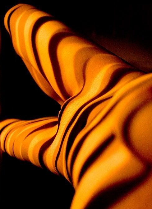 489x670, 71 Kb / тень, полосы