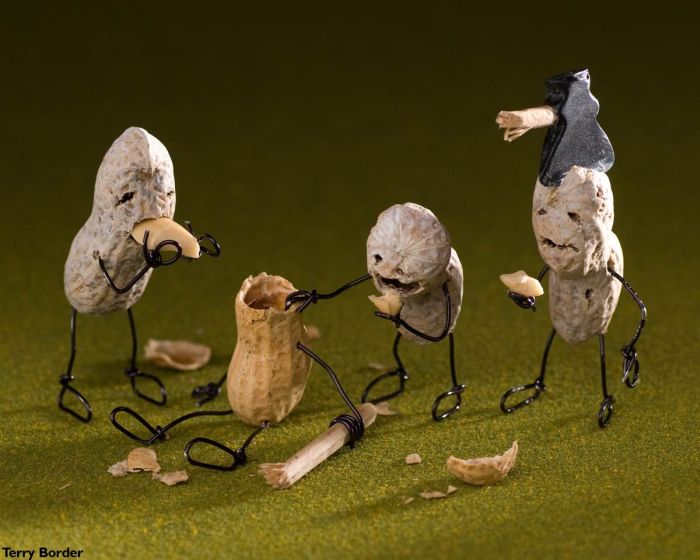 700x560, 52 Kb / арахис, зомби