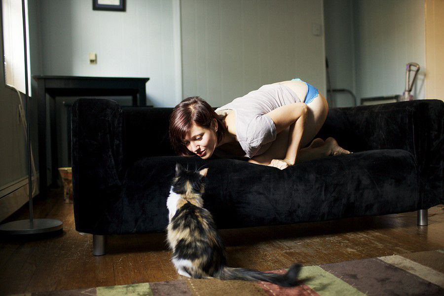 900x600, 252 Kb / диван, кот