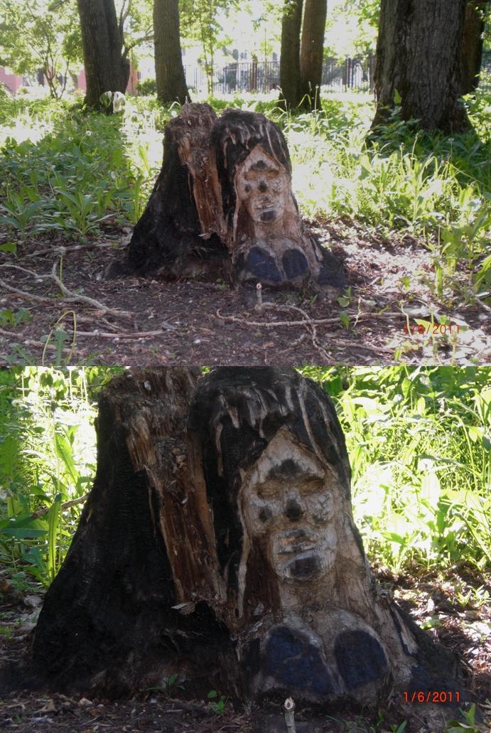 691x1031, 158 Kb / пень, лицо