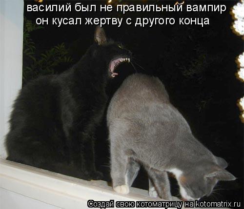 500x429, 31 Kb / кот, вампир