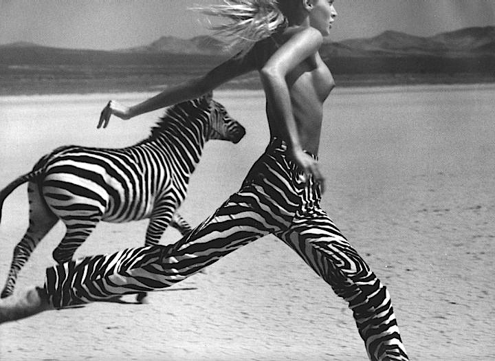 720x525, 118 Kb / зебра, полоски, ч/б