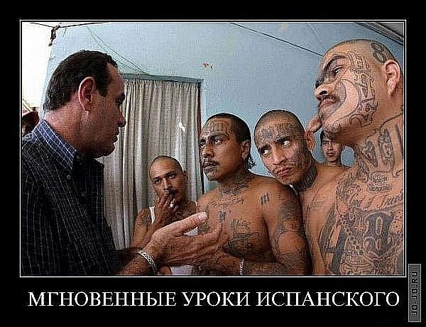 600x461, 90 Kb / уроки, испанский, демотиватор