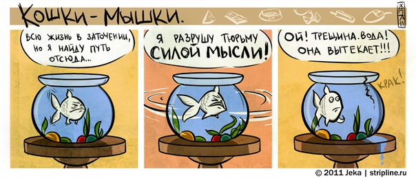 604x259, 72 Kb / аквариум, рыба