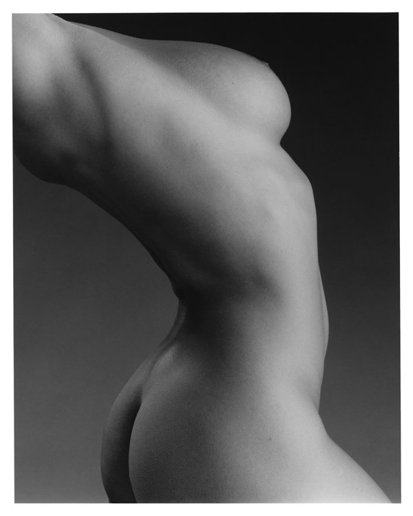 600x748, 35 Kb / Robert Mapplethorpe