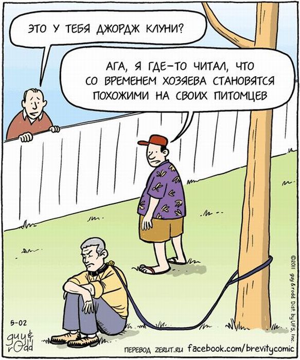 583x700, 84 Kb / клуни, собака