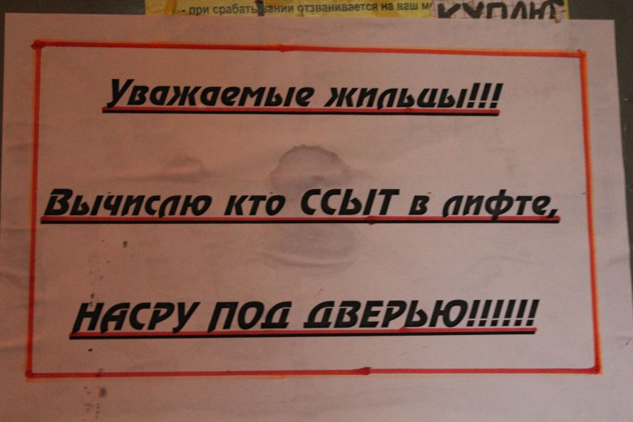 888x592, 60 Kb / объявление