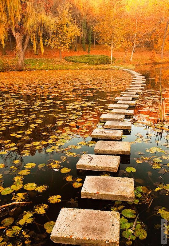 550x800, 167 Kb / мостик