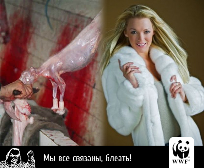 420x345, 124 Kb / собака, разделка, нож, фубля, шуба