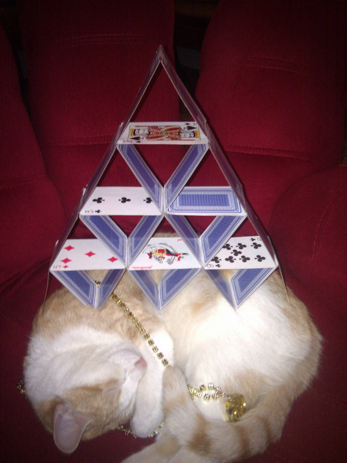 700x933, 200 Kb / кошка, карты, пирамида