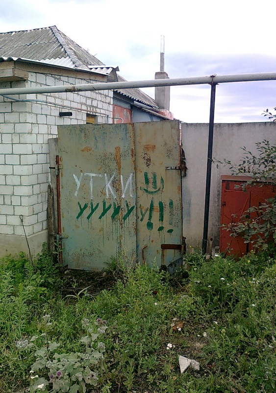 563x800, 161 Kb / утиные истории