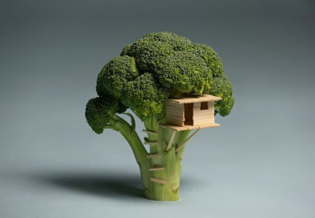 639x442, 45 Kb / домик, брокколи