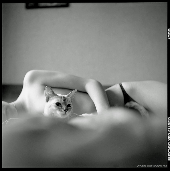 594x600, 135 Kb / ч/б, кошка