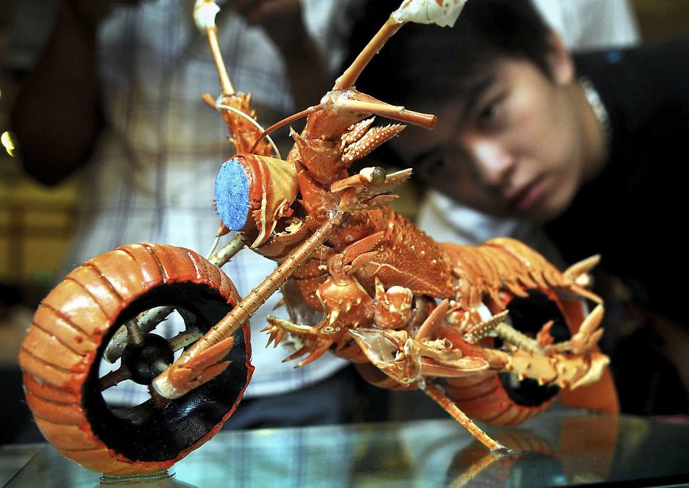 1000x708, 95 Kb / мотоцикл, краб