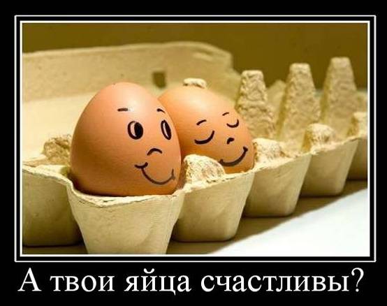 554x438, 31 Kb / яйца