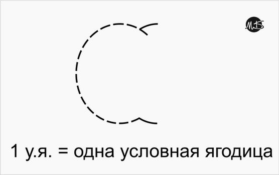 556x349, 12 Kb / одна, условная, ягодица