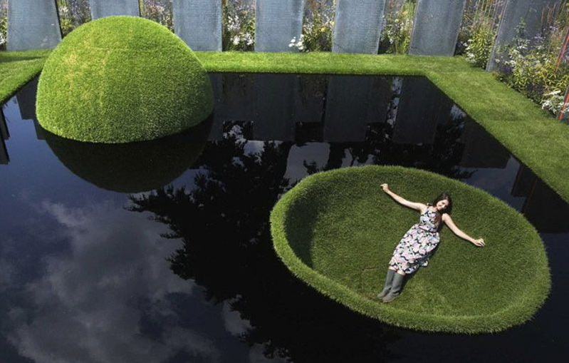 799x509, 140 Kb / пруд, газон