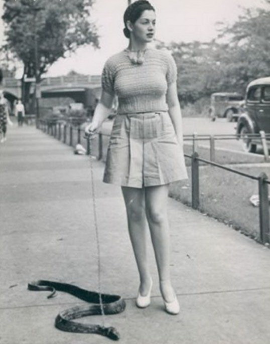 538x686, 90 Kb / дама, змея