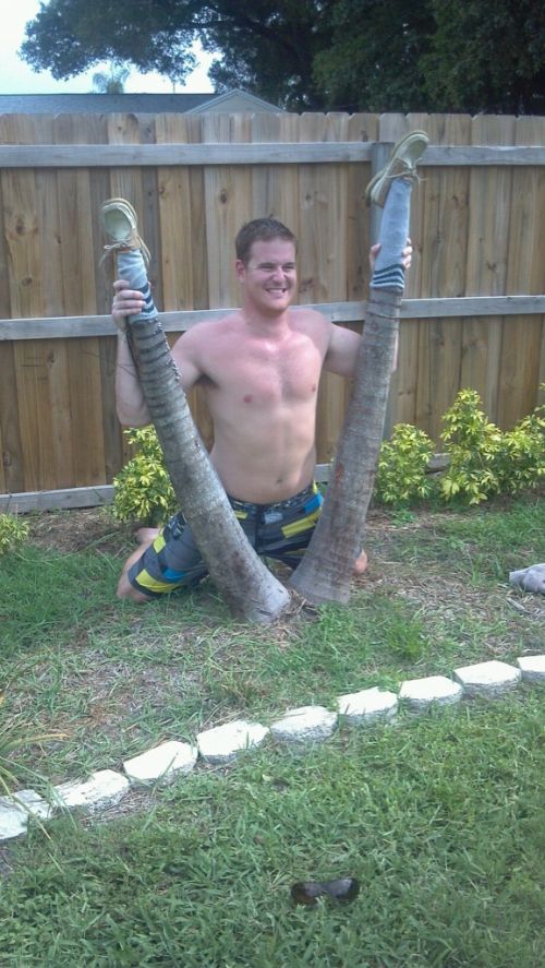 500x887, 94 Kb / ноги, забор, ствол