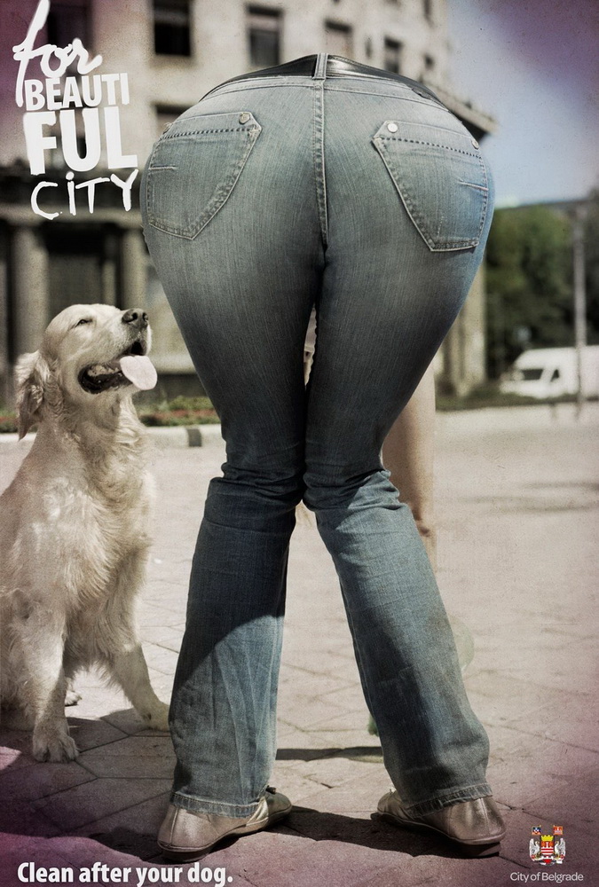 675x1000, 258 Kb / жопа, собака, корм