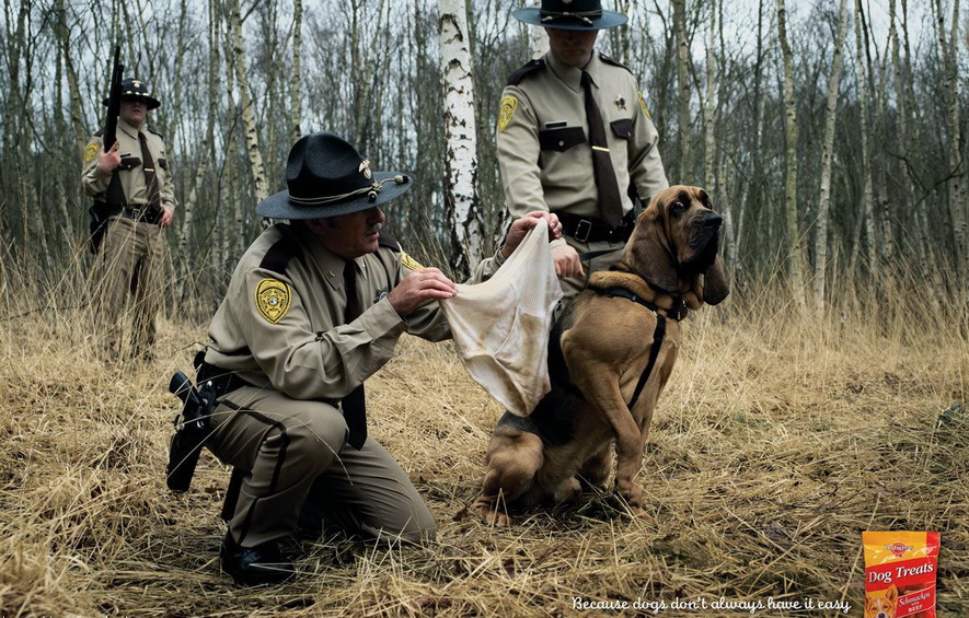 885x565, 290 Kb / трусы, пес, полиция