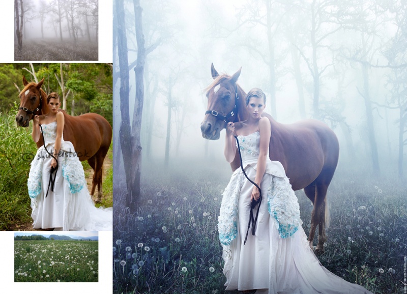 800x578, 176 Kb / лес, туман, лошадь, одуванчики, коллаж, рыжая