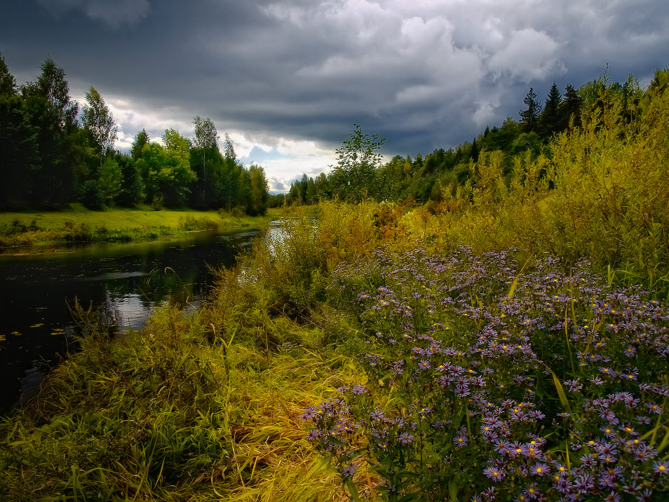 954x716, 284 Kb / Речка, лес, трава