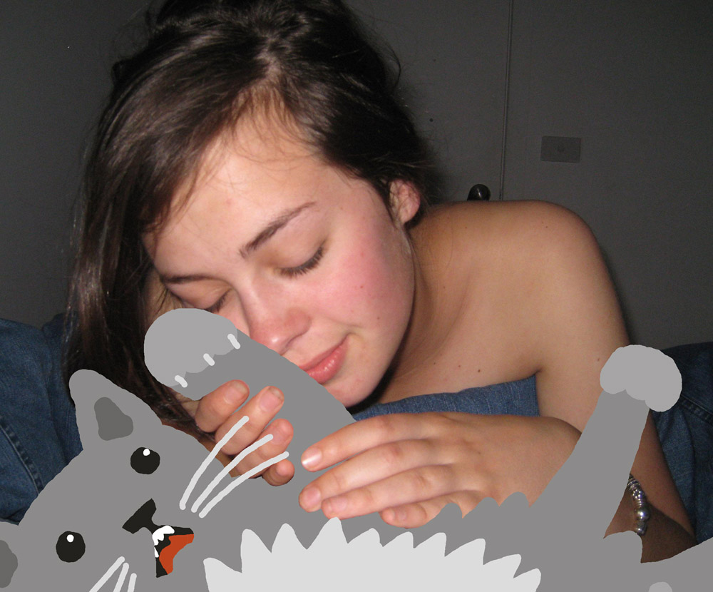 1000x830, 181 Kb / кот, маскировка, разукрашка, аппликация, порно