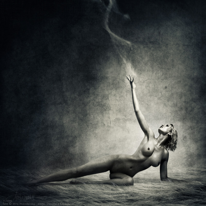 800x800, 230 Kb / ветер, трава