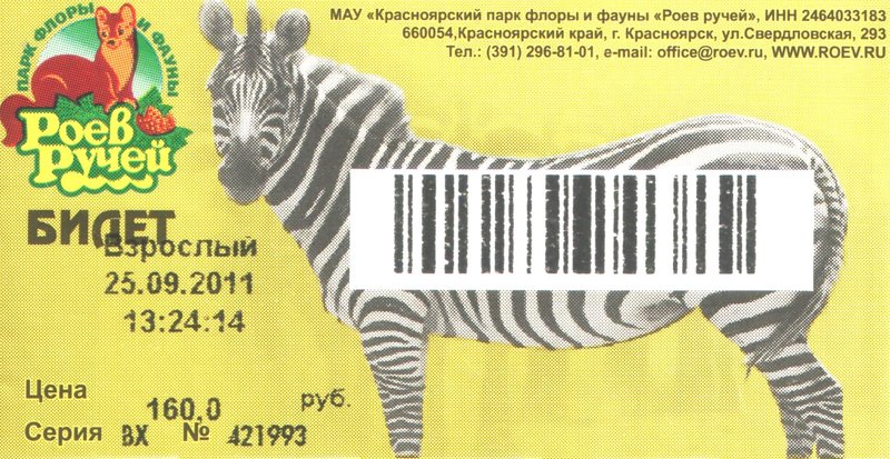 800x413, 122 Kb / зёбра